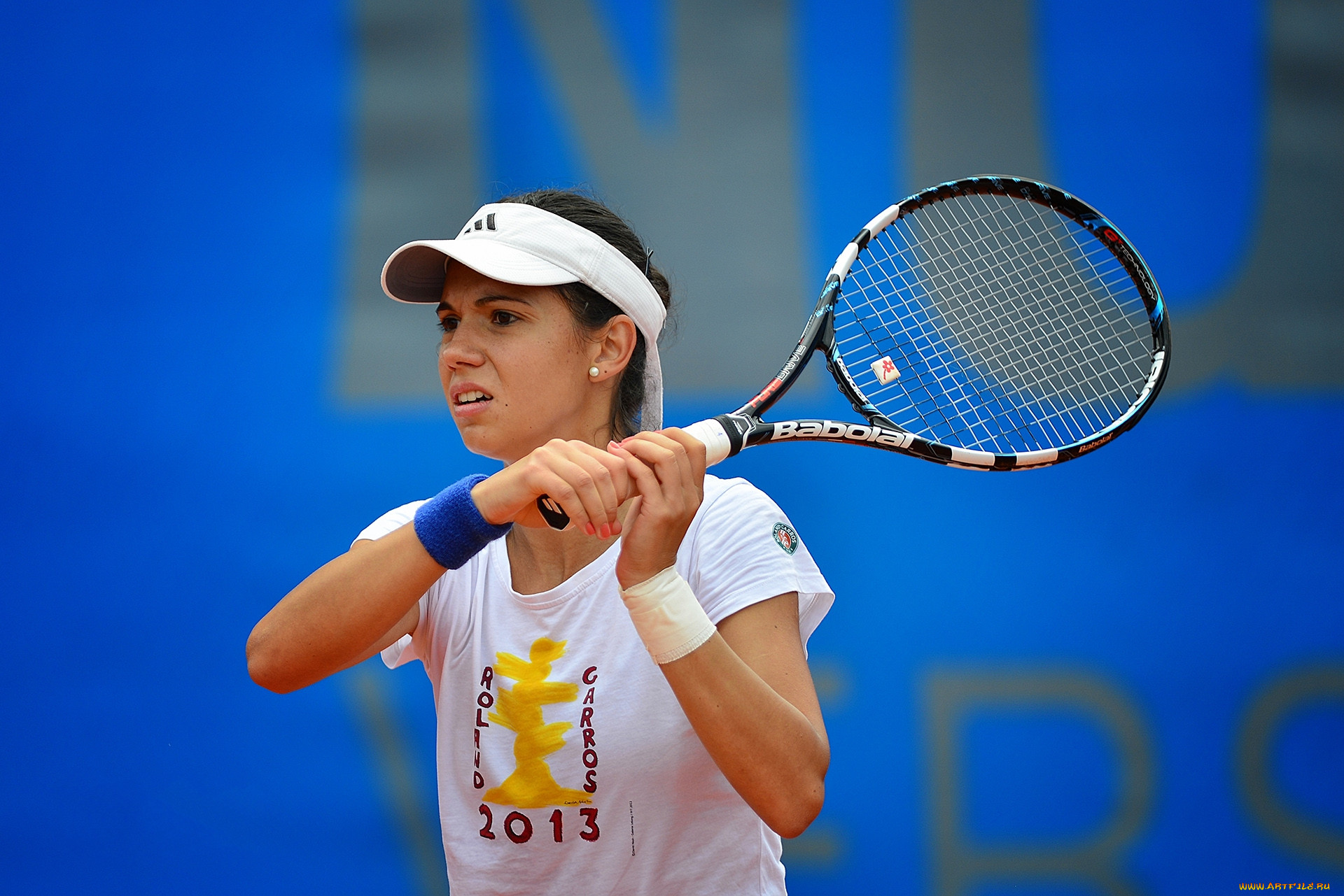 olaru ioana raluca, , , , , 
